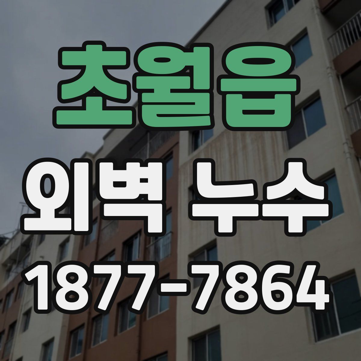 초월읍 외벽 누수