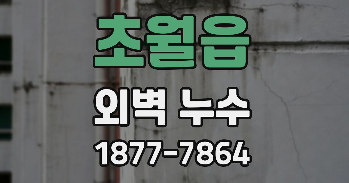 초월읍 외벽 누수