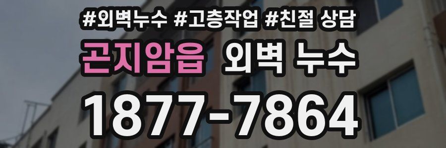 곤지암읍 외벽 누수
