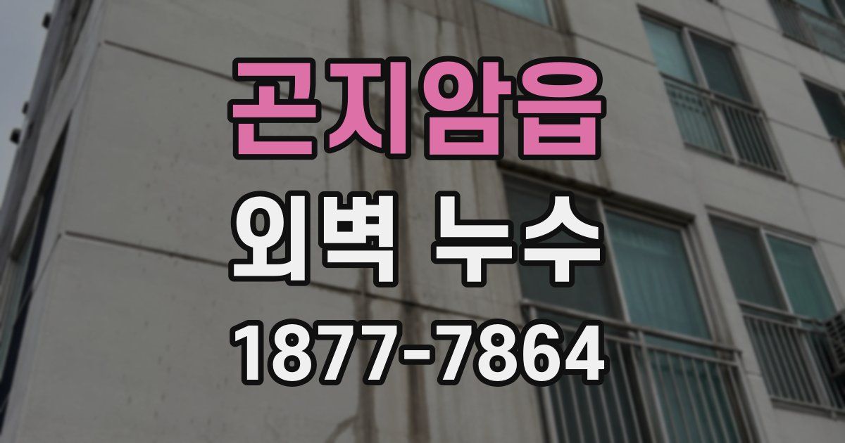 곤지암읍 외벽 누수