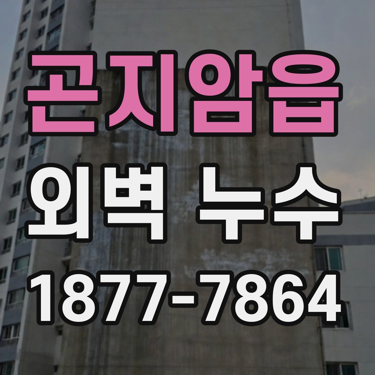 곤지암읍 외벽 누수