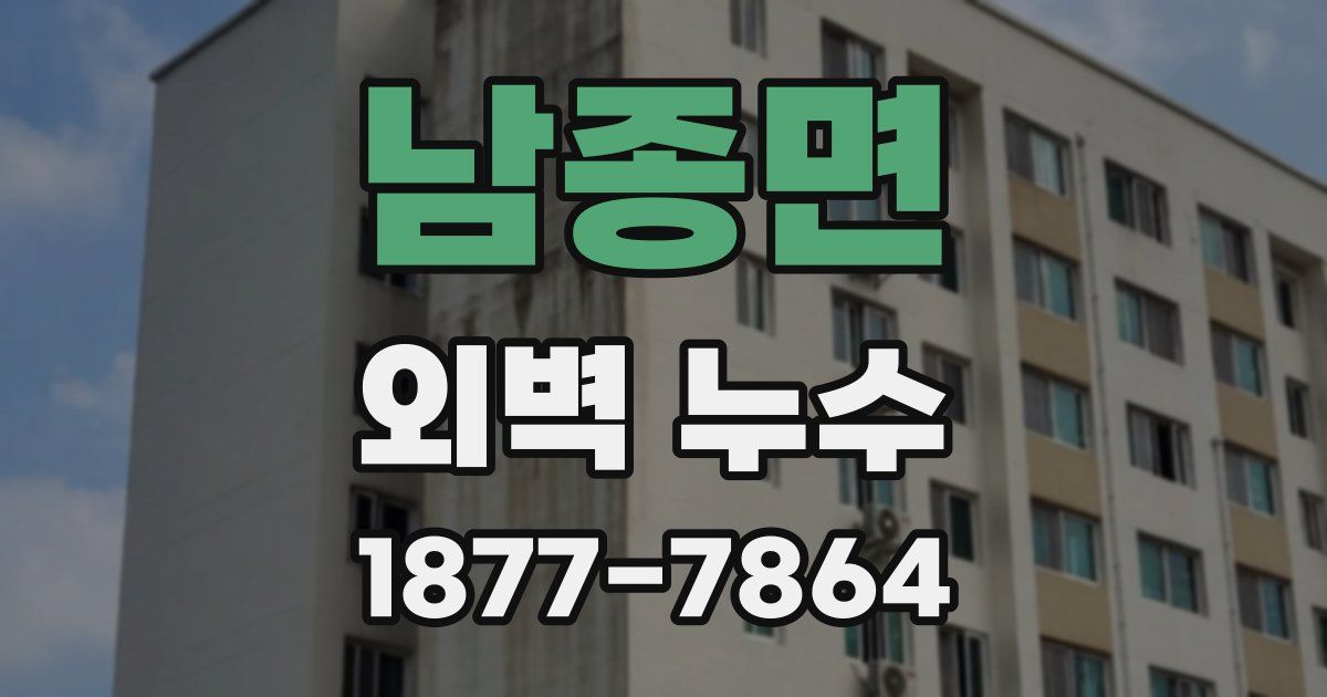 남종면 외벽 누수