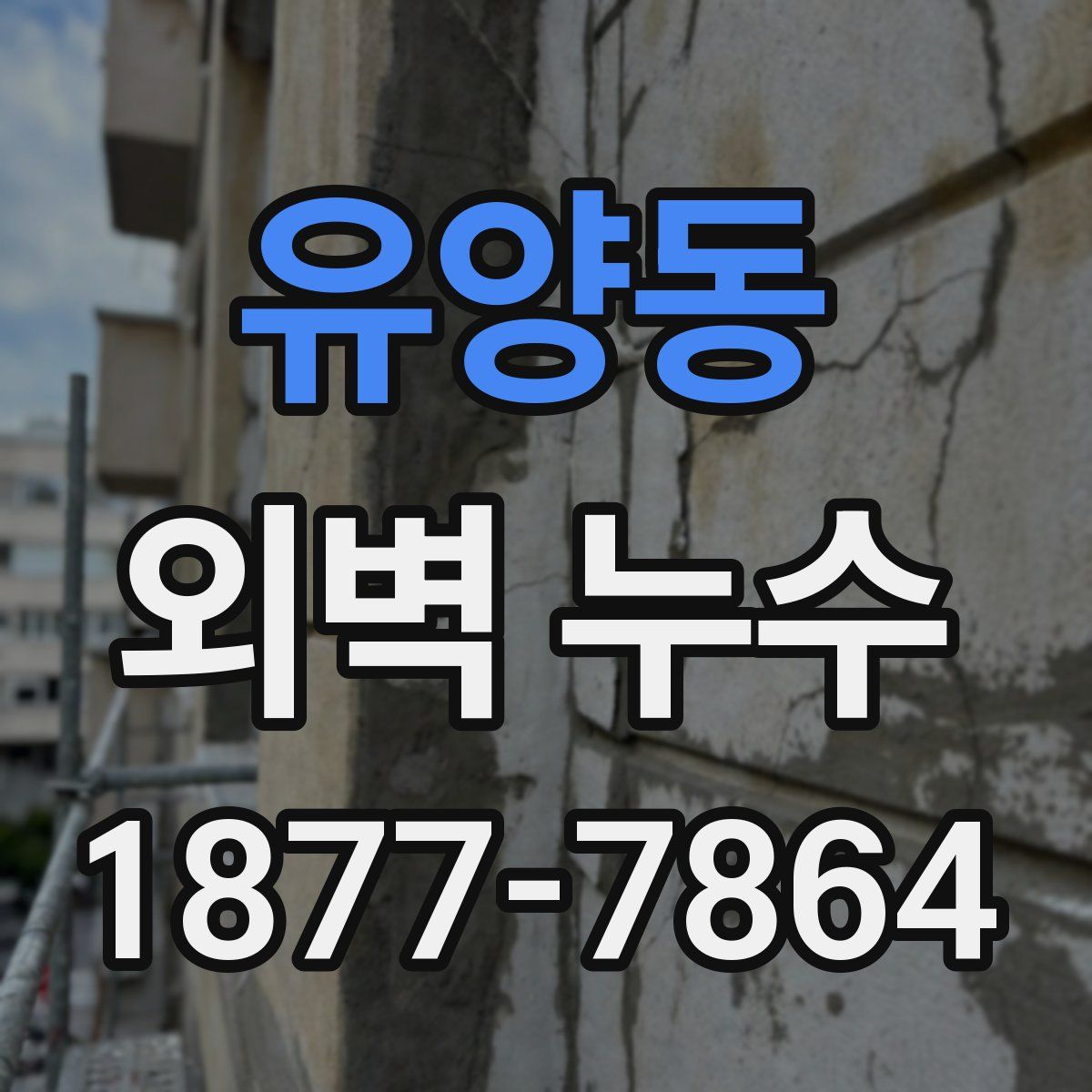 유양동 외벽 누수