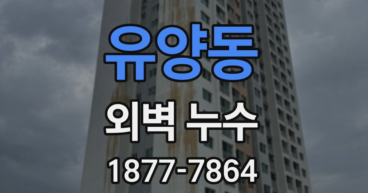 유양동 외벽 누수
