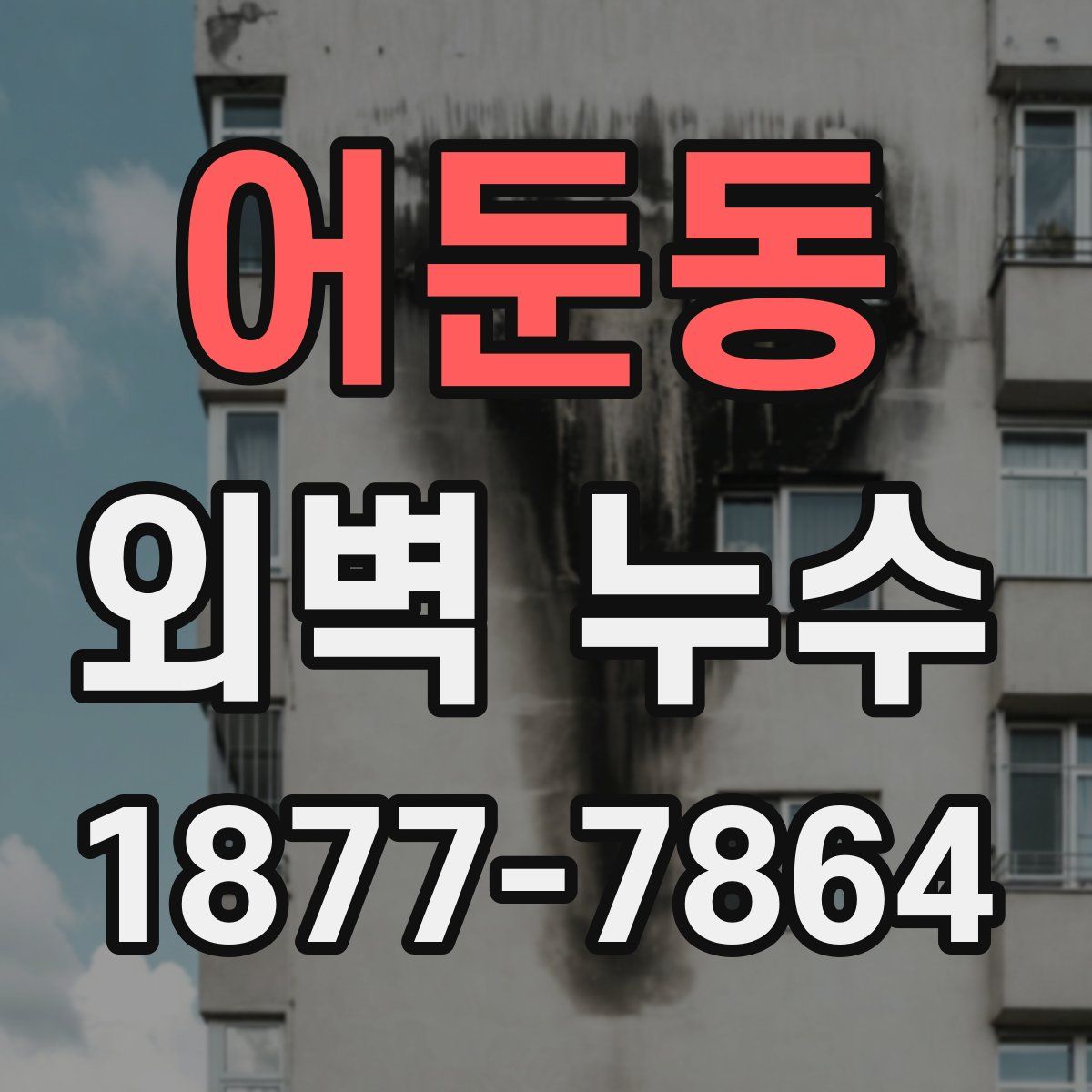 어둔동 외벽 누수