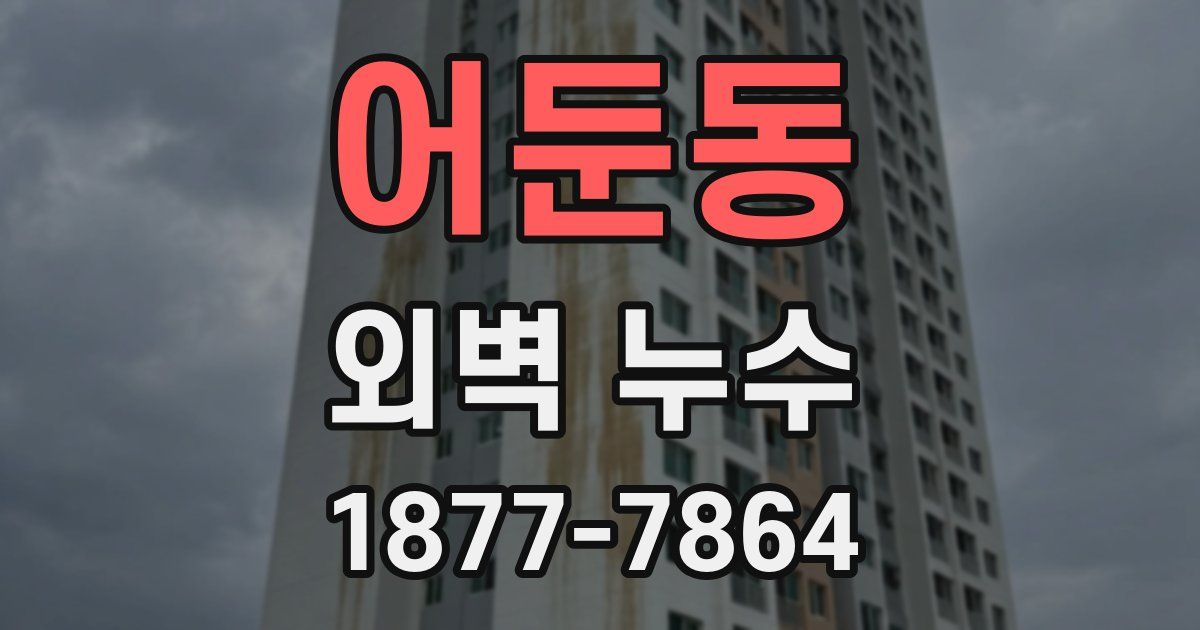어둔동 외벽 누수