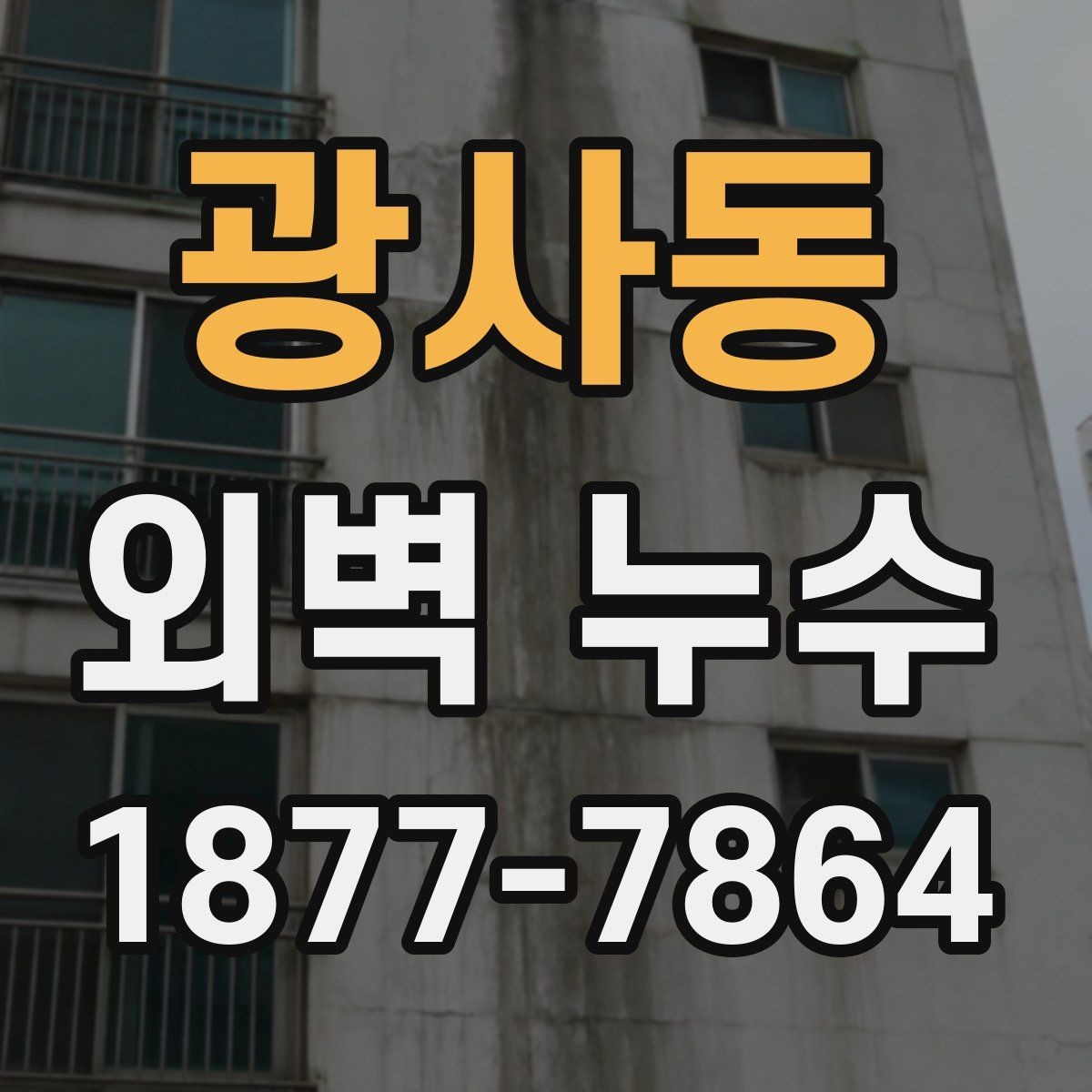 광사동 외벽 누수 점검 결과를 바탕으로 한 선택