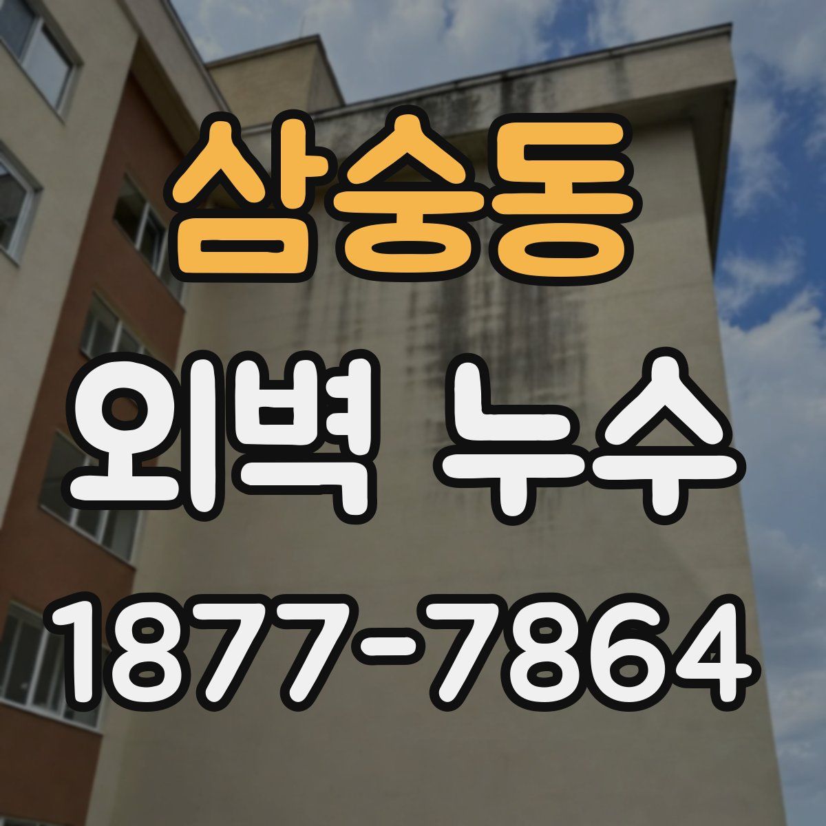 삼숭동 외벽 누수
