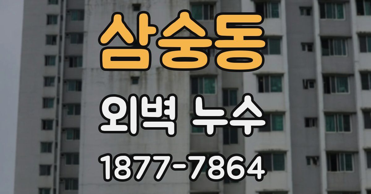 삼숭동 외벽 누수