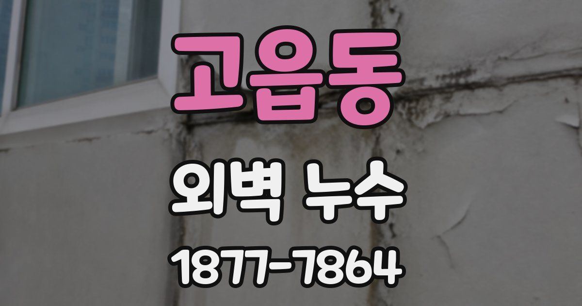 고읍동 외벽 누수
