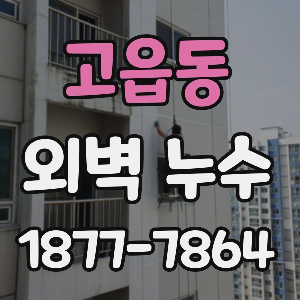 고읍동 외벽 누수