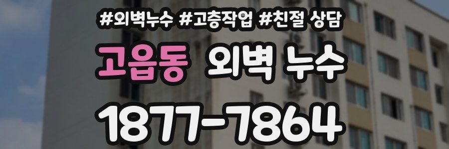 고읍동 외벽 누수