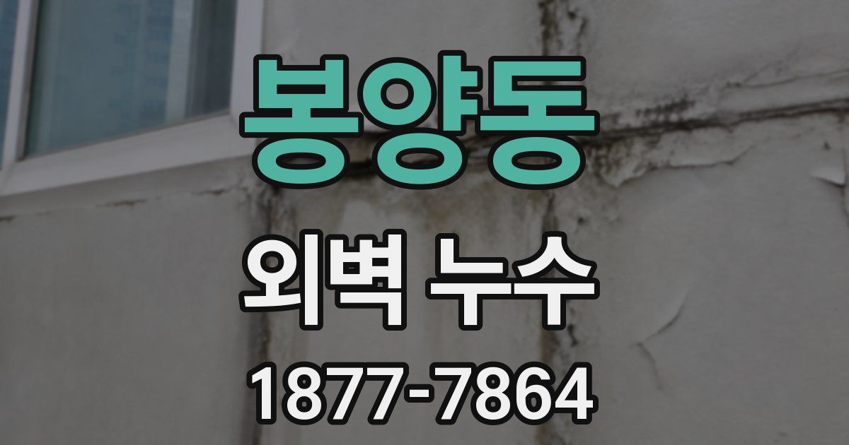 봉양동 외벽 누수