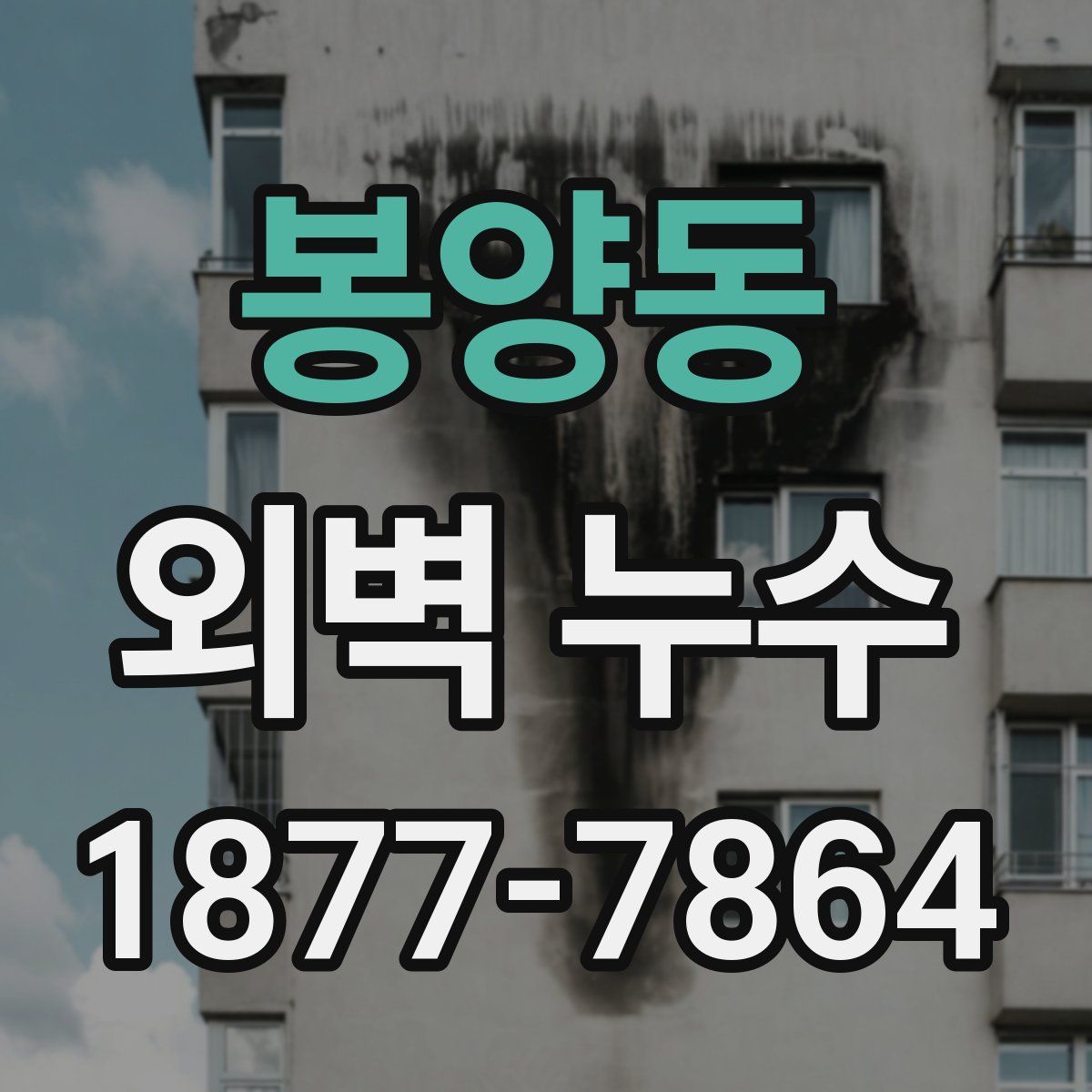 봉양동 외벽 누수