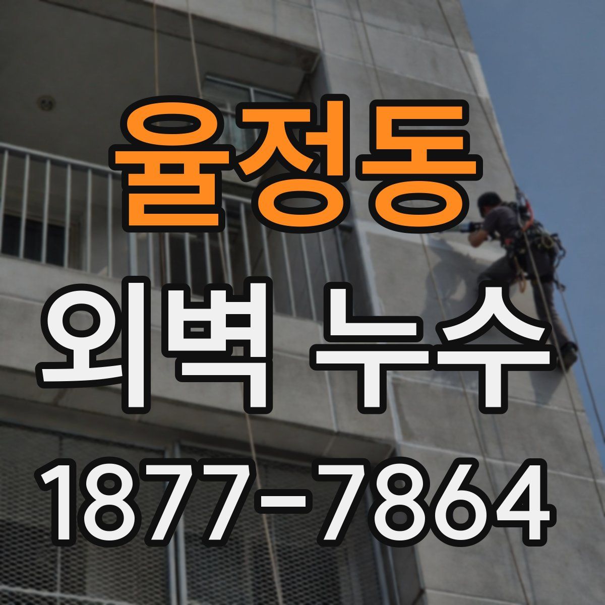 율정동 외벽 누수