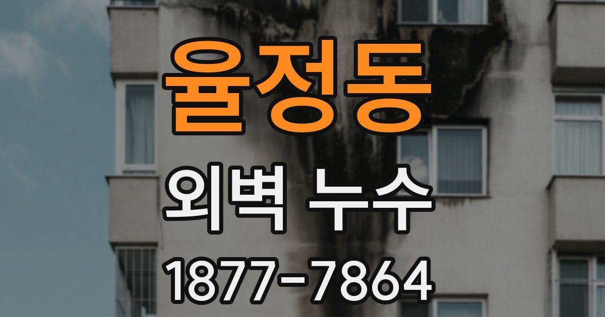 율정동 외벽 누수