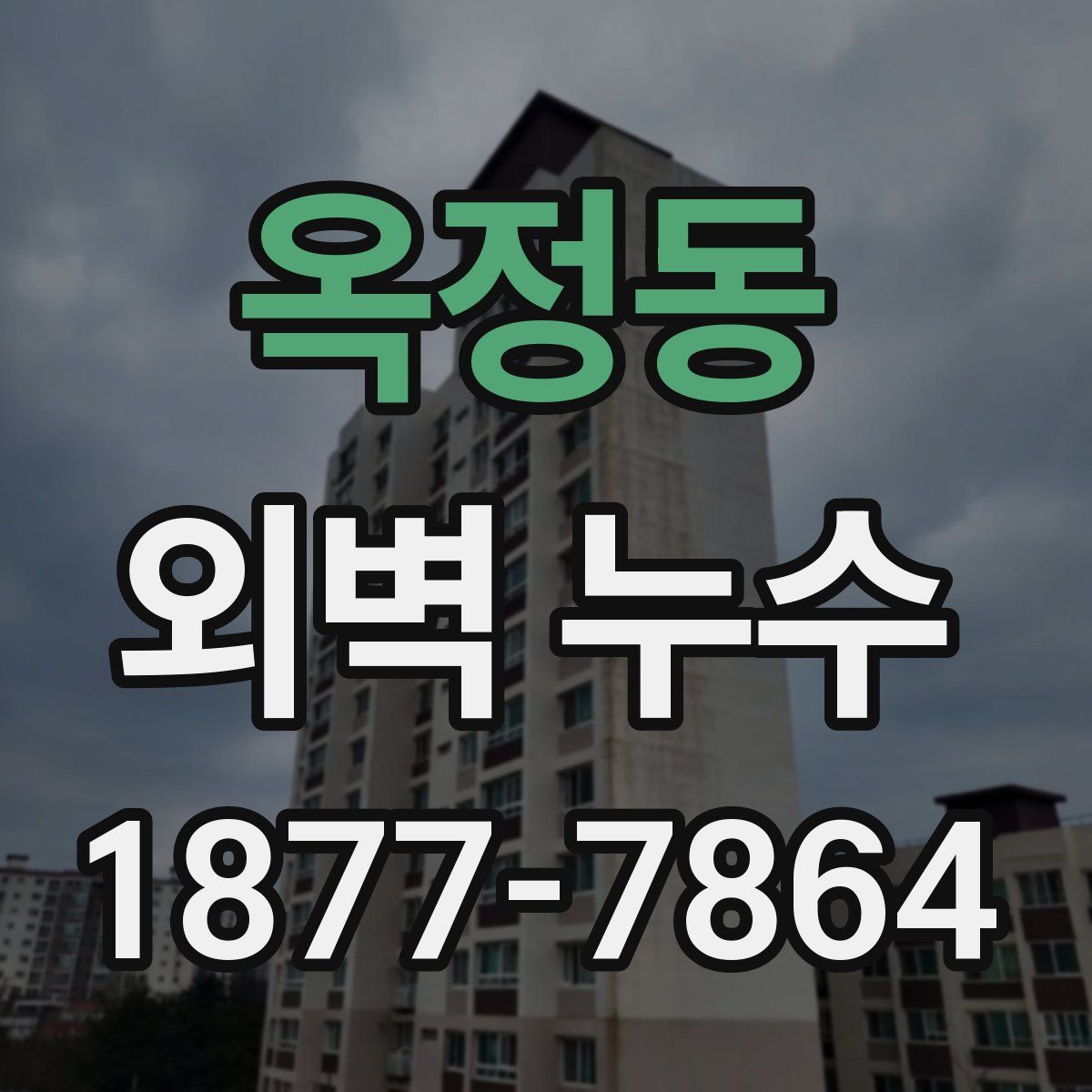 옥정동 외벽 누수