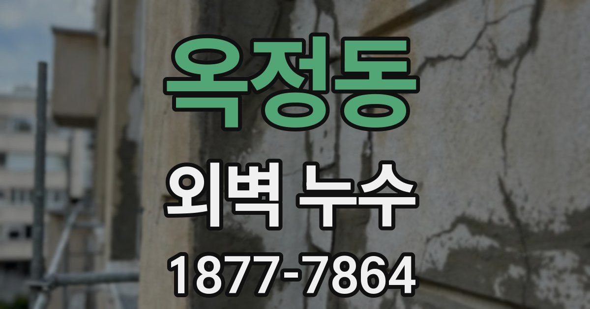 옥정동 외벽 누수