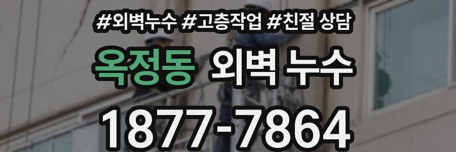 옥정동 외벽 누수