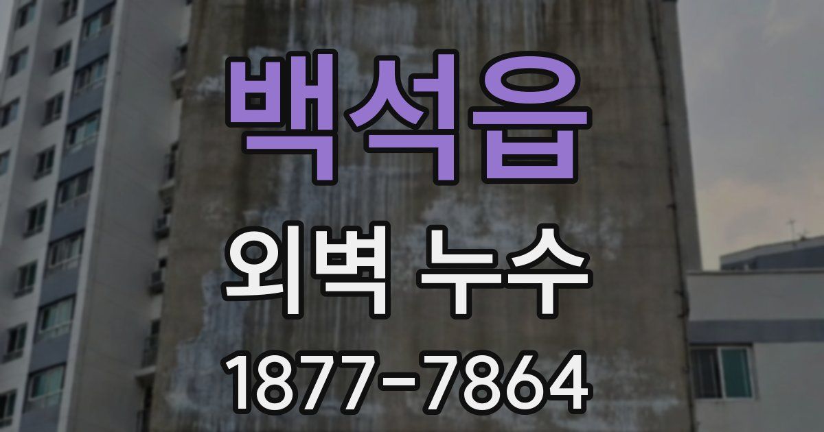백석읍 외벽 누수