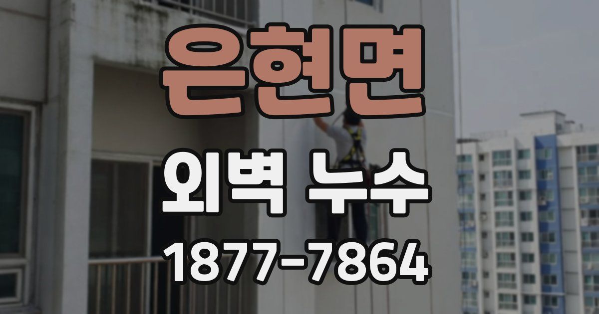 은현면 외벽 누수