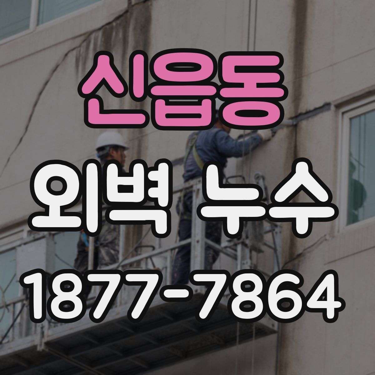 신읍동 외벽 누수