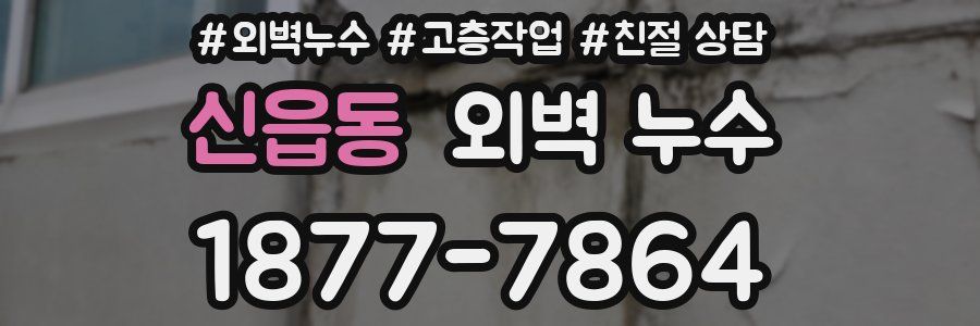신읍동 외벽 누수