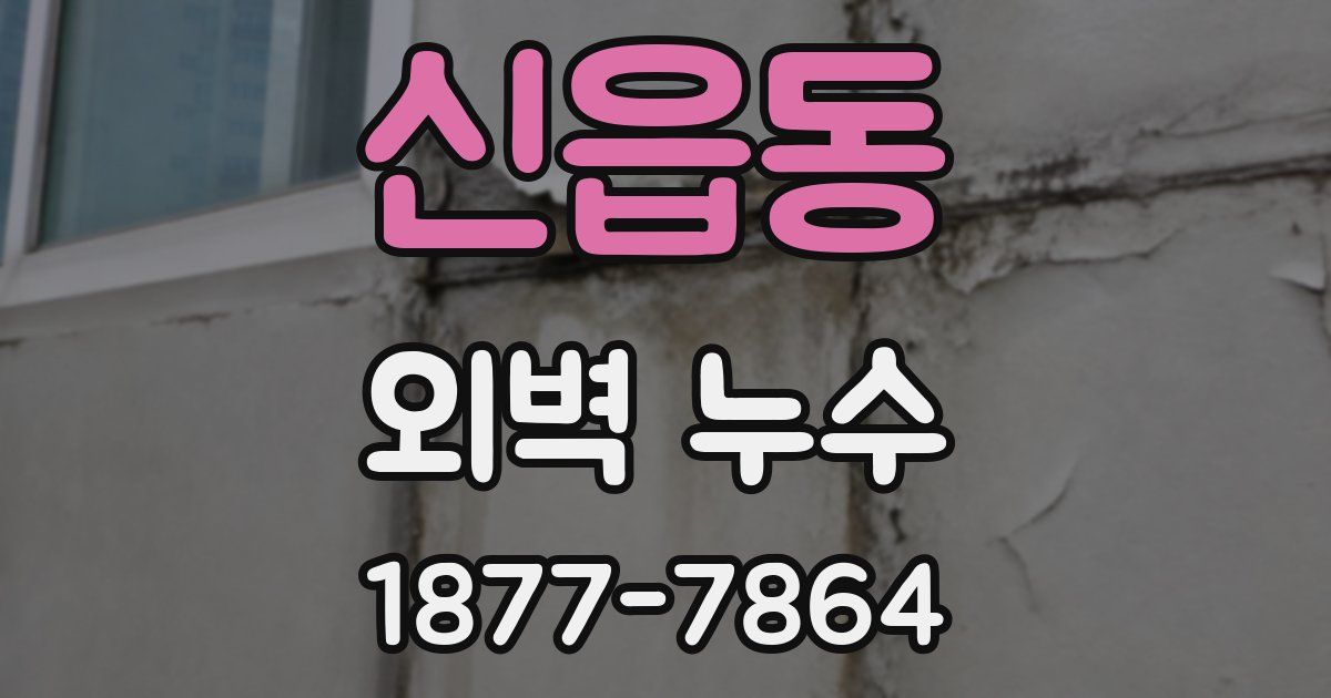 신읍동 외벽 누수