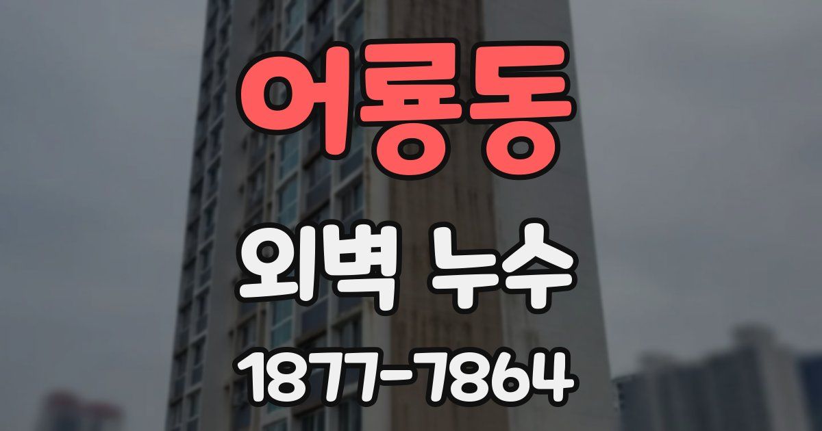 어룡동 외벽 누수