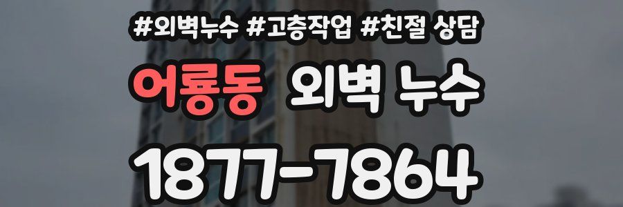 어룡동 외벽 누수