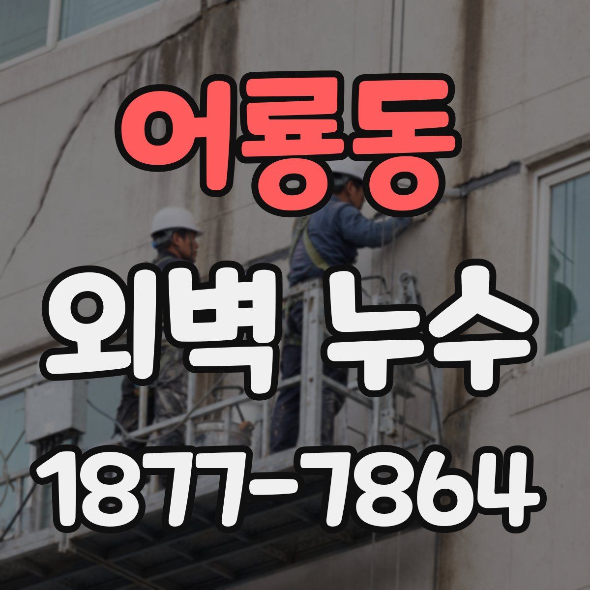 어룡동 외벽 누수