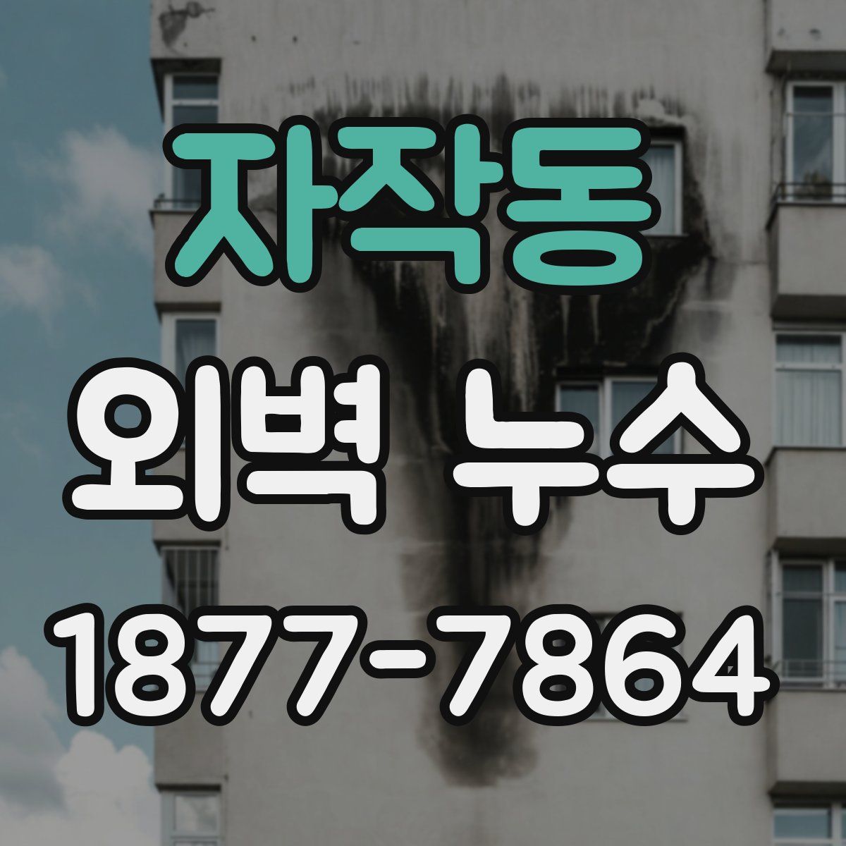 자작동 외벽 누수