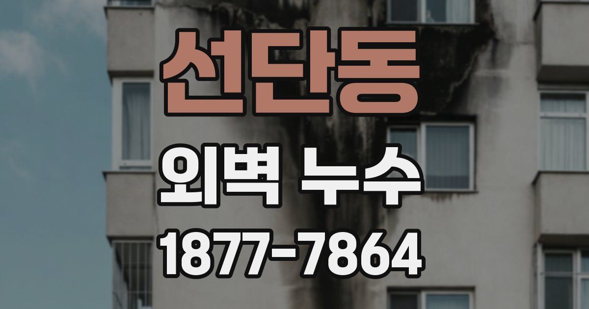 선단동 외벽 누수