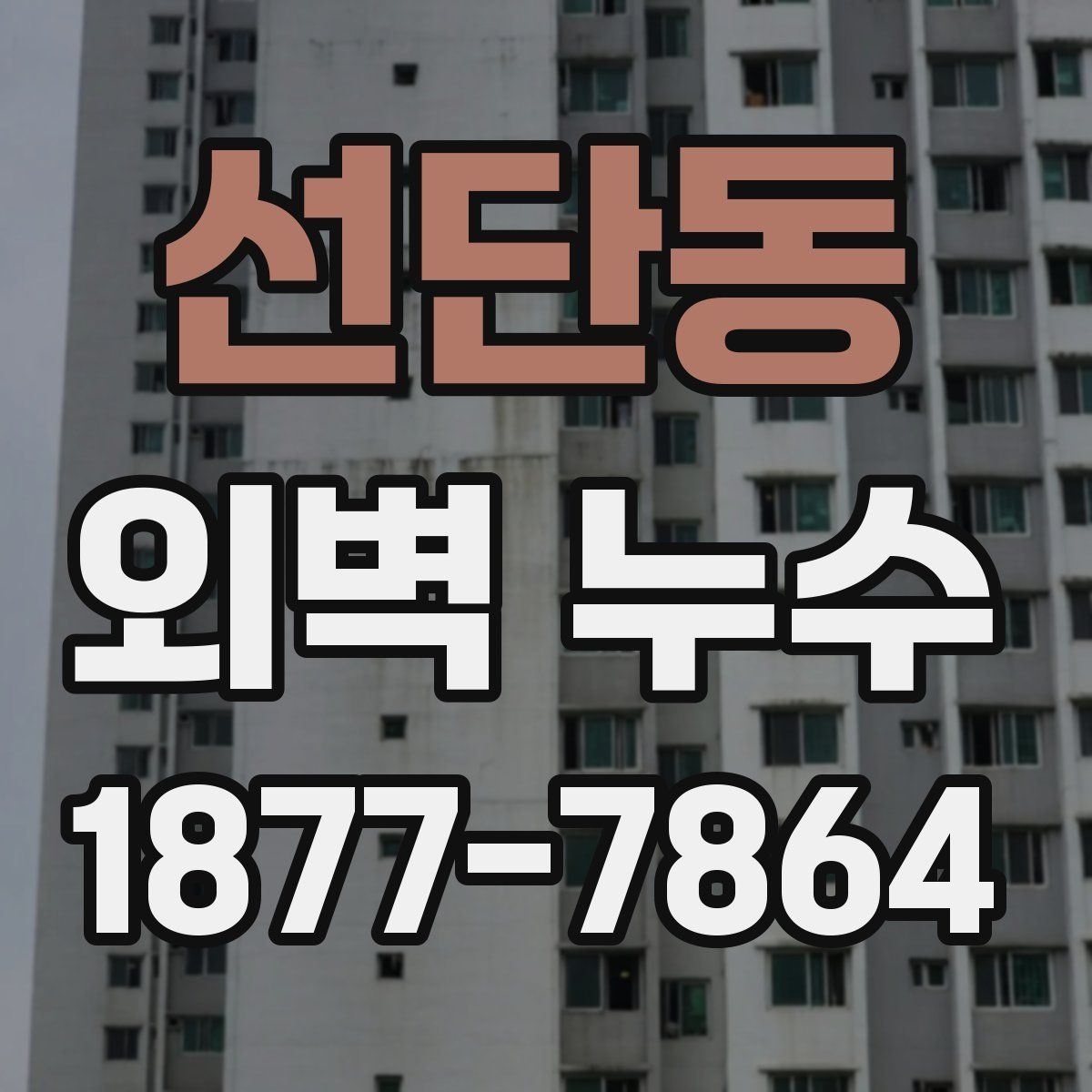 선단동 외벽 누수