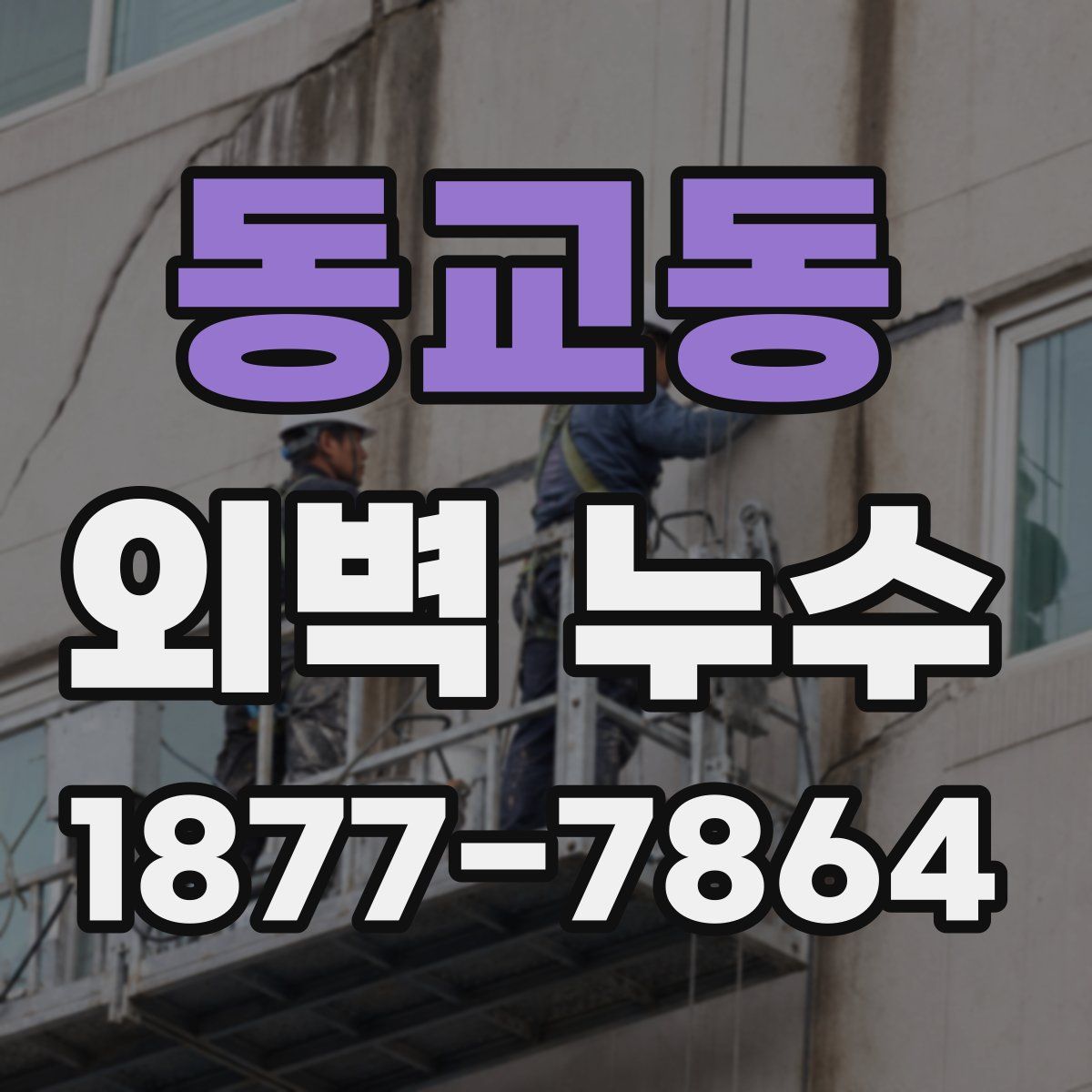 동교동 외벽 누수