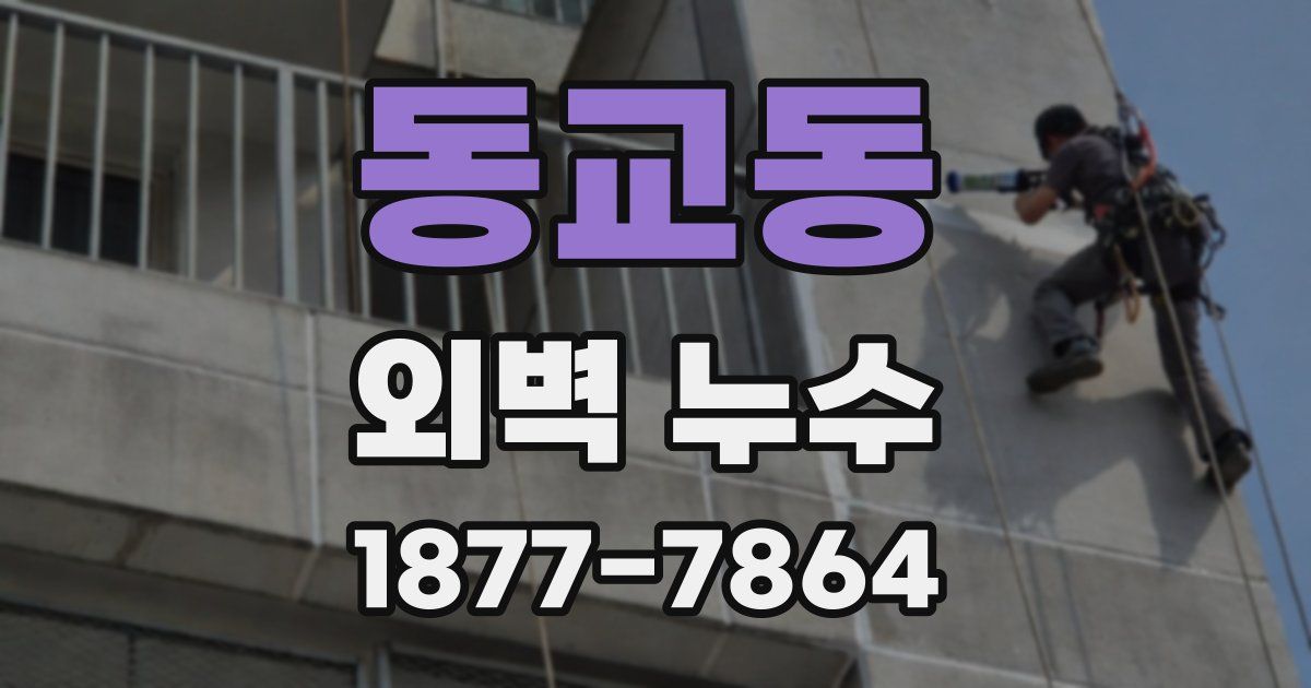 동교동 외벽 누수