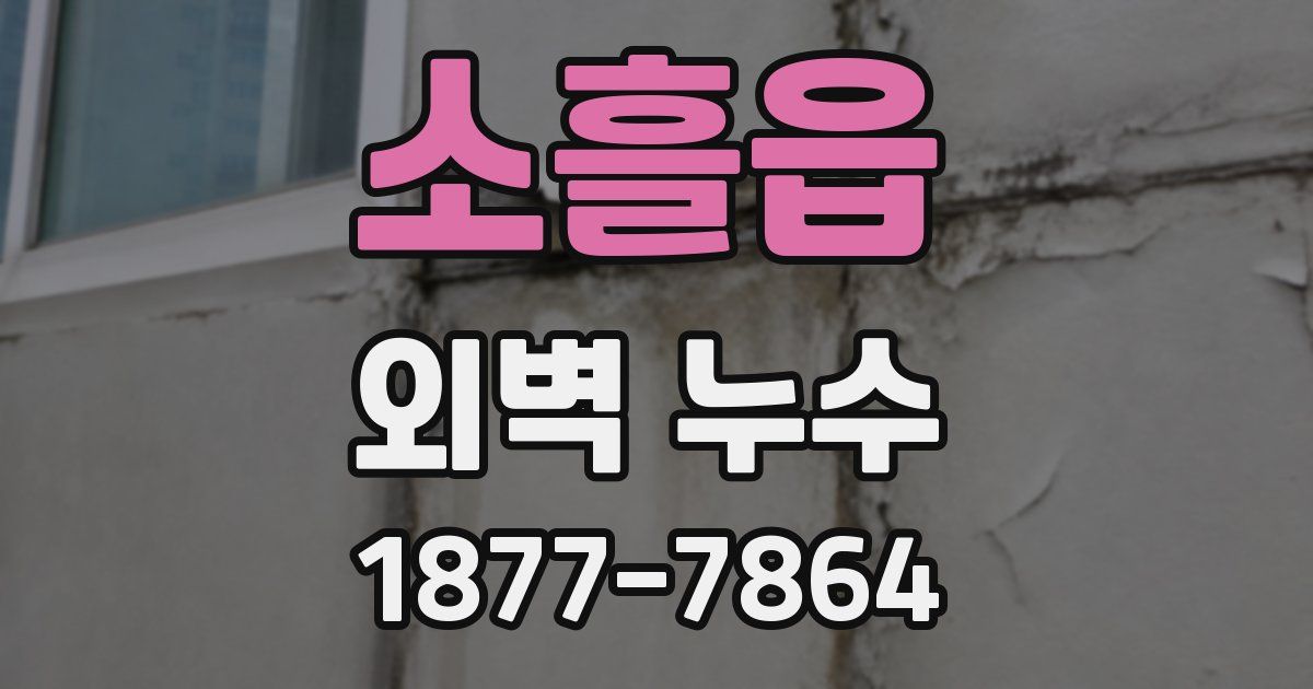 소흘읍 외벽 누수