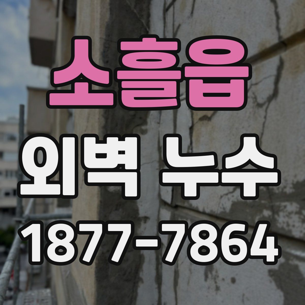 소흘읍 외벽 누수