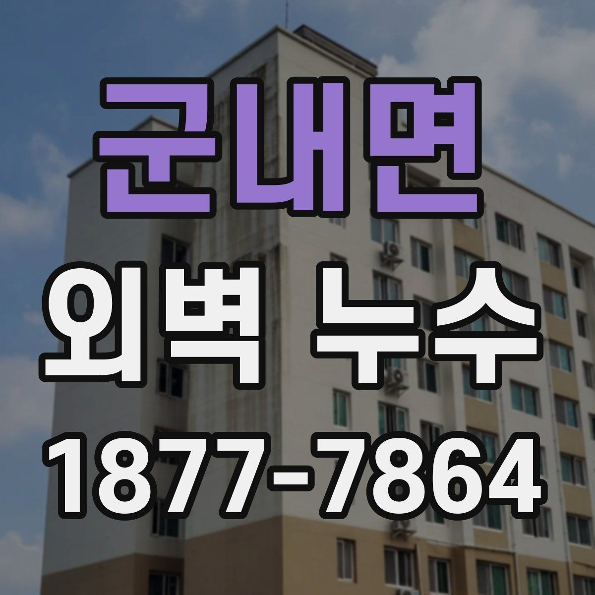 군내면 외벽 누수 대응에서 중요한 현장 기록