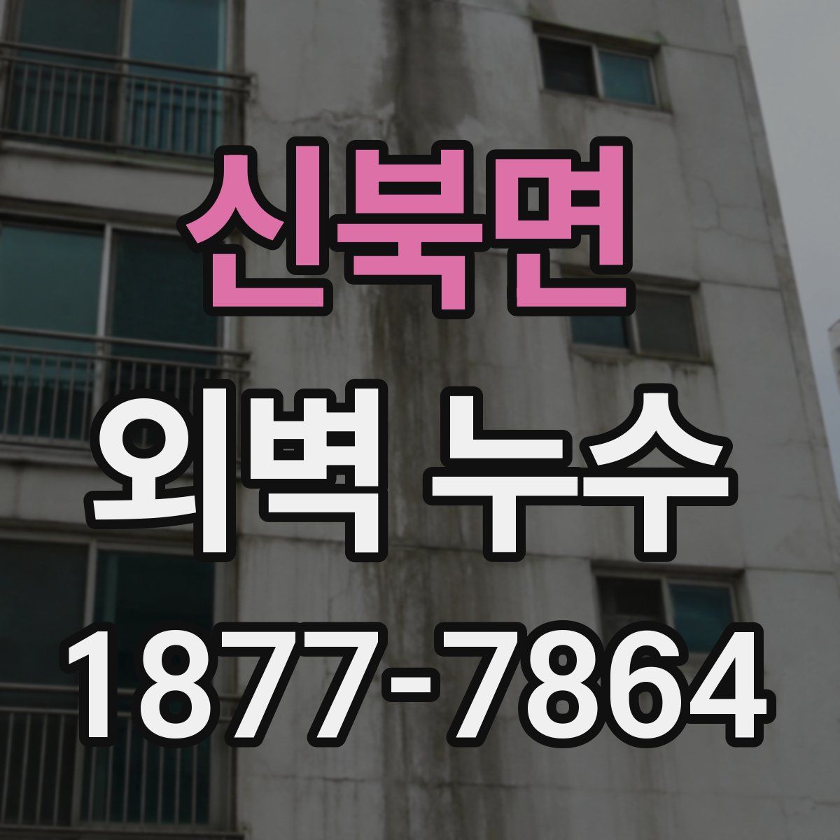 신북면 외벽 누수