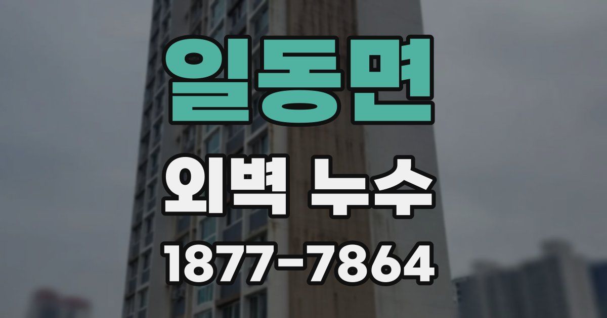 일동면 외벽 누수