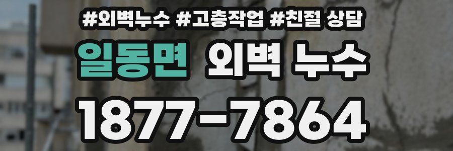 일동면 외벽 누수