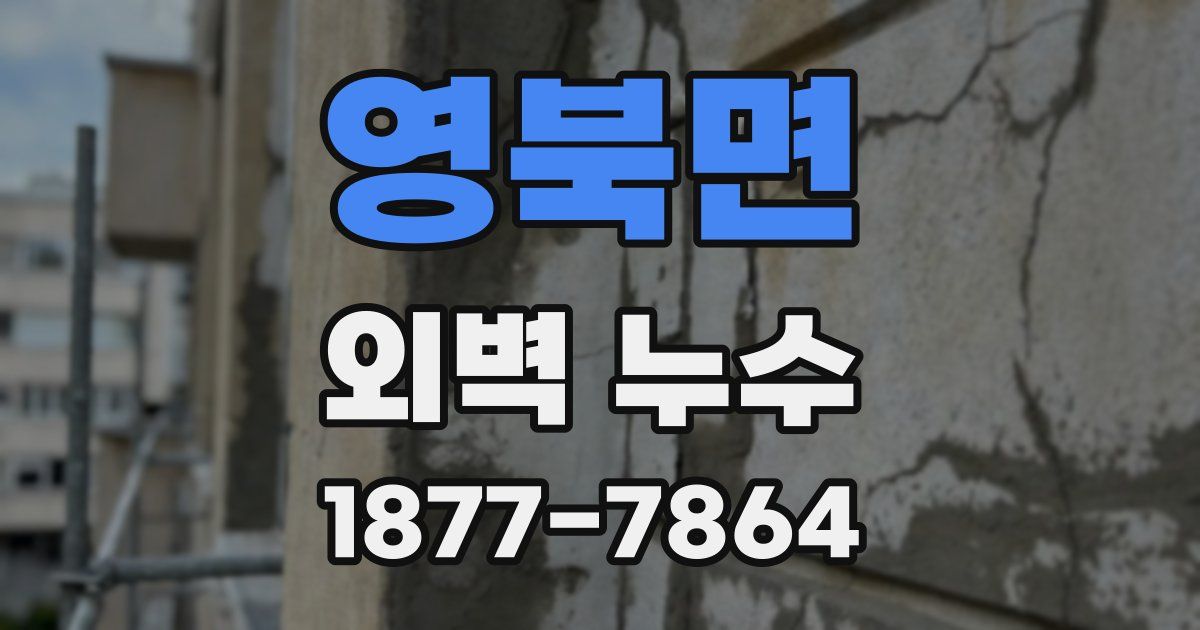 영북면 외벽 누수