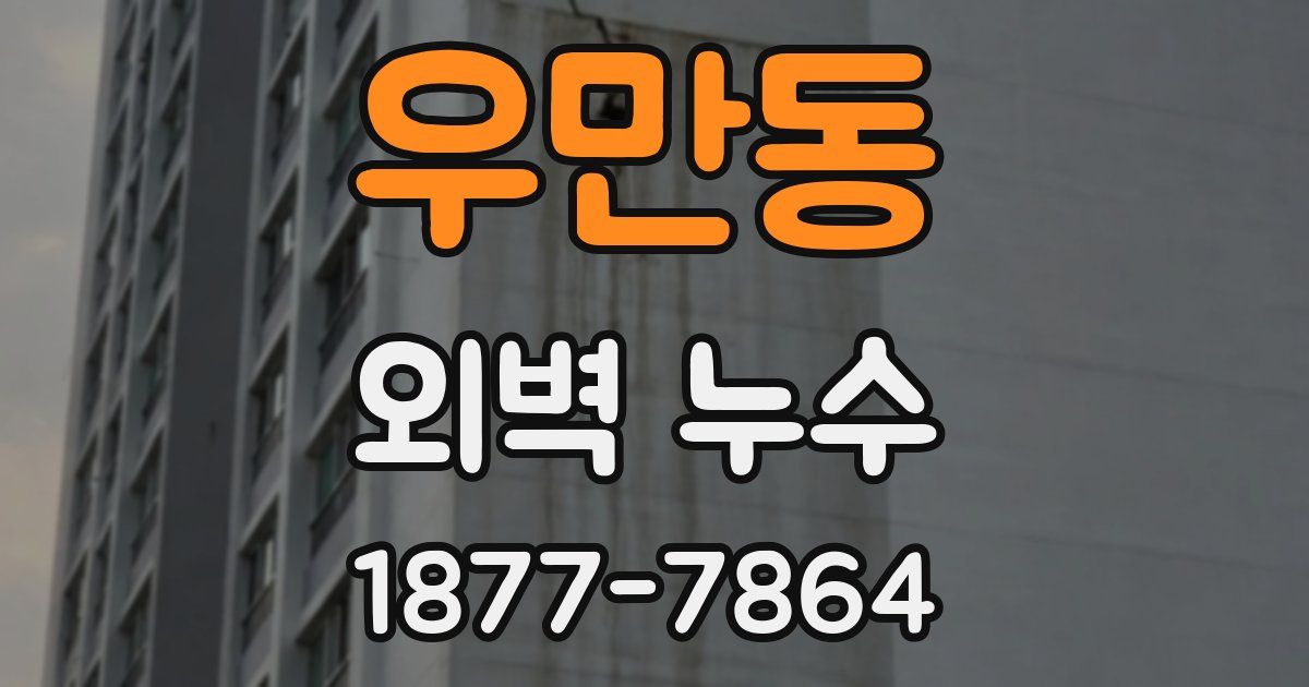 우만동 외벽 누수