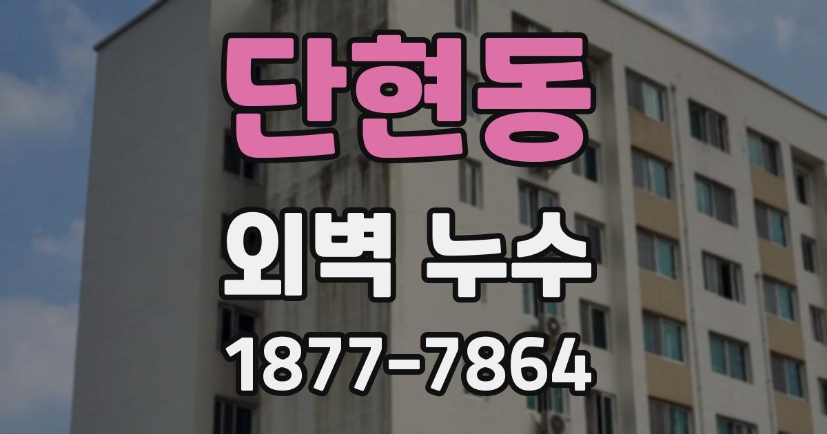 단현동 외벽 누수