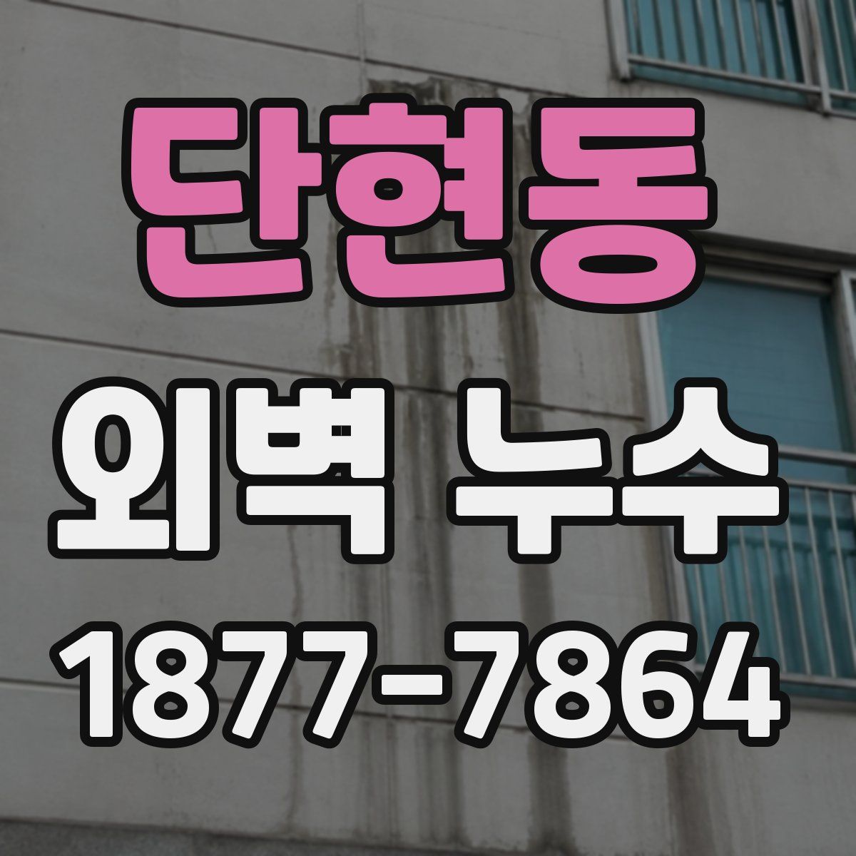 단현동 외벽 누수