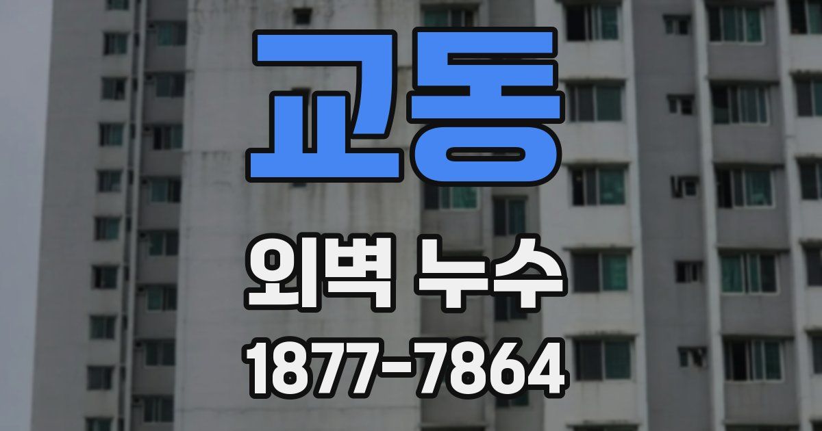 교동 외벽 누수
