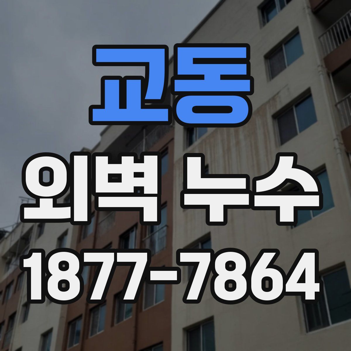 교동 외벽 누수