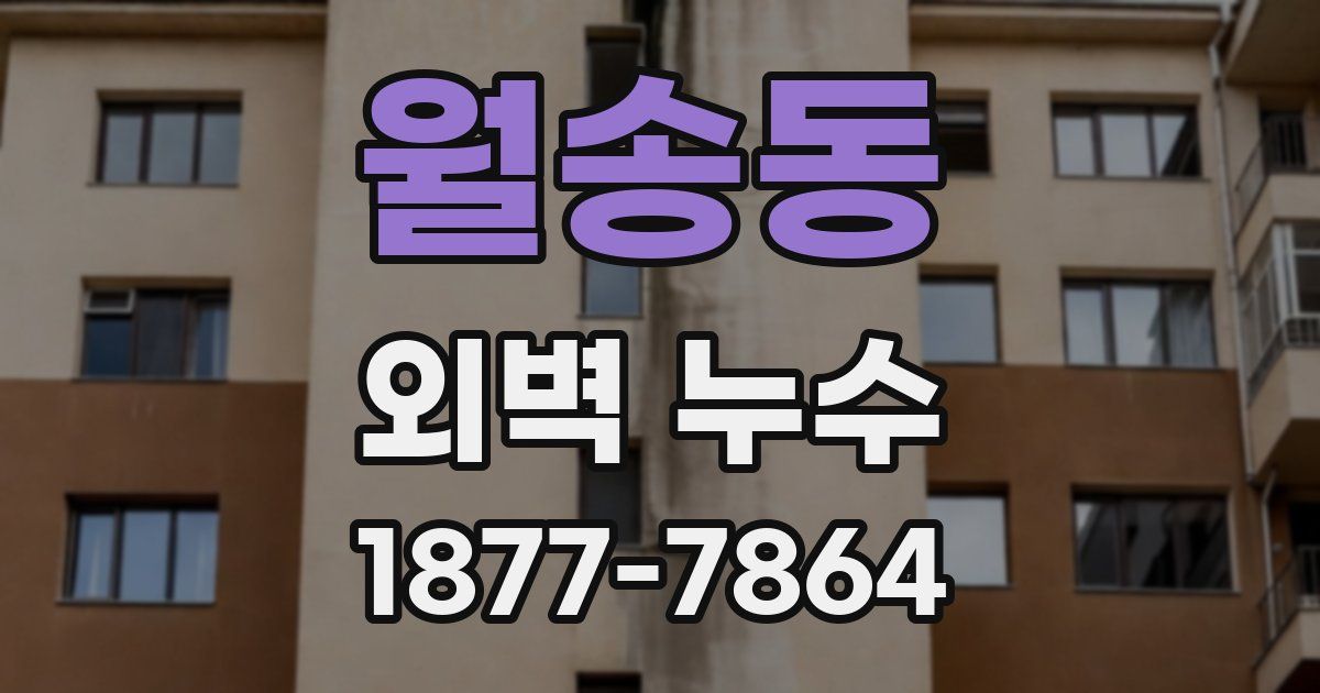 월송동 외벽 누수