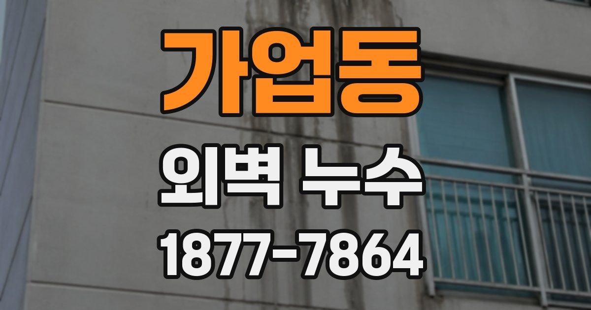 가업동 외벽 누수